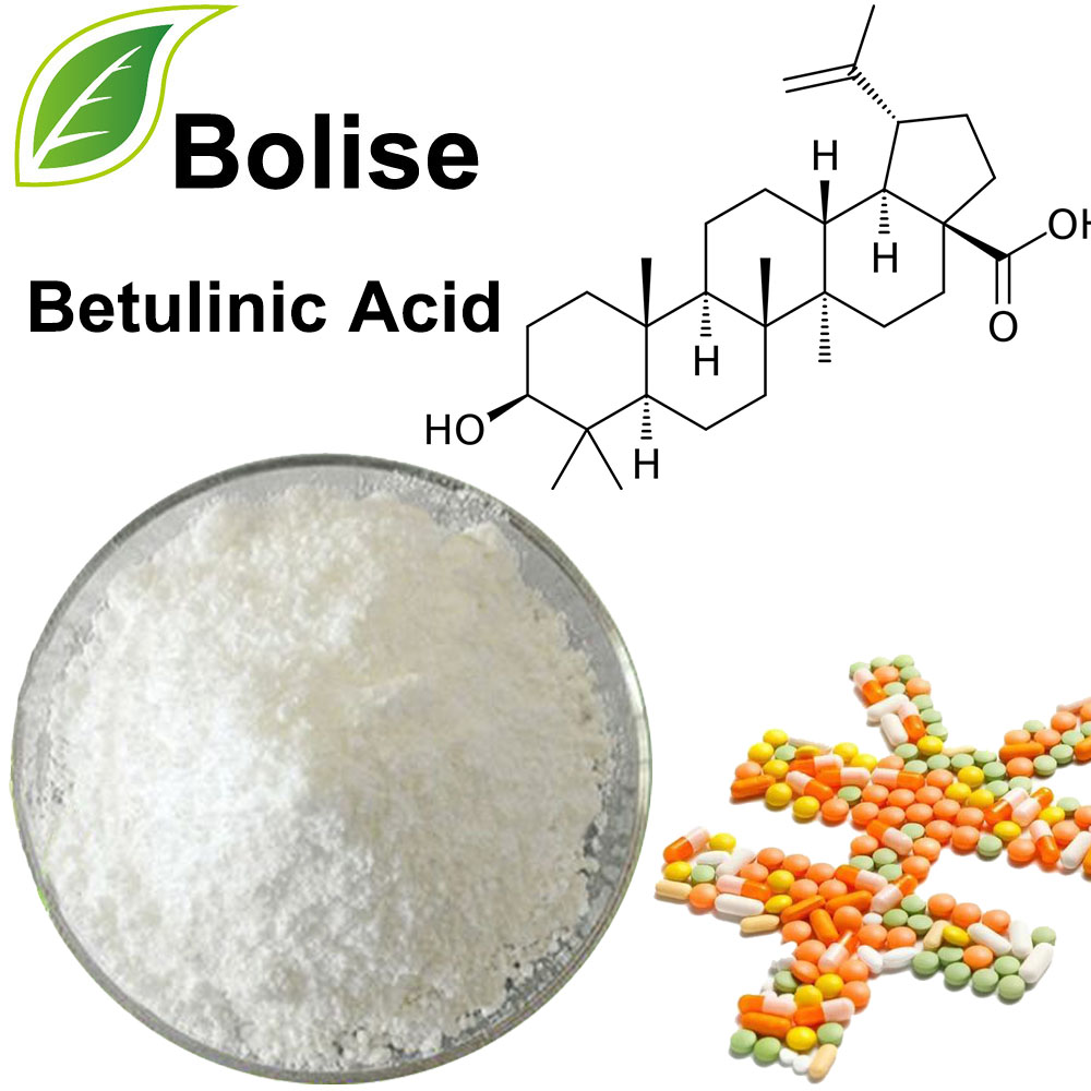 Betulinska kiselina