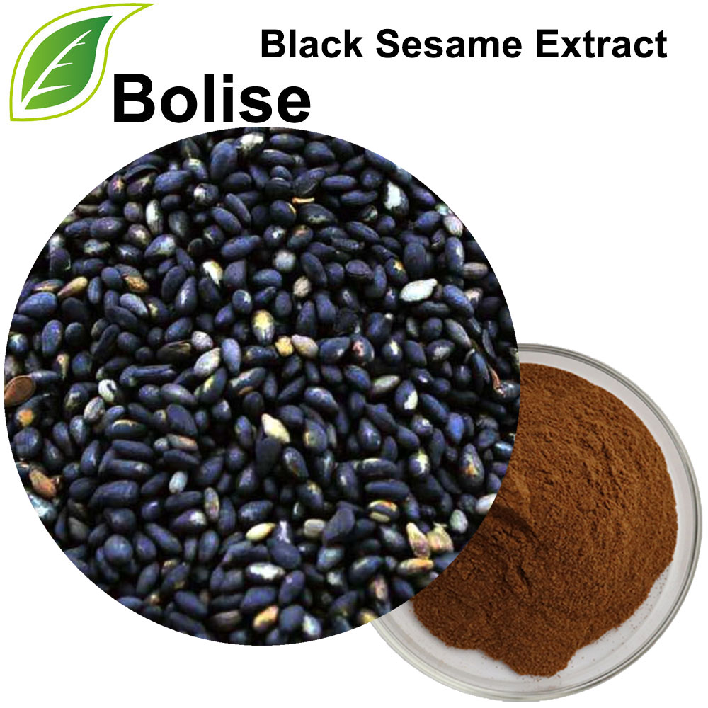 Schwarzer Sesam-Extrakt (Samen-Sesami-Nigrum-Extrakt)
