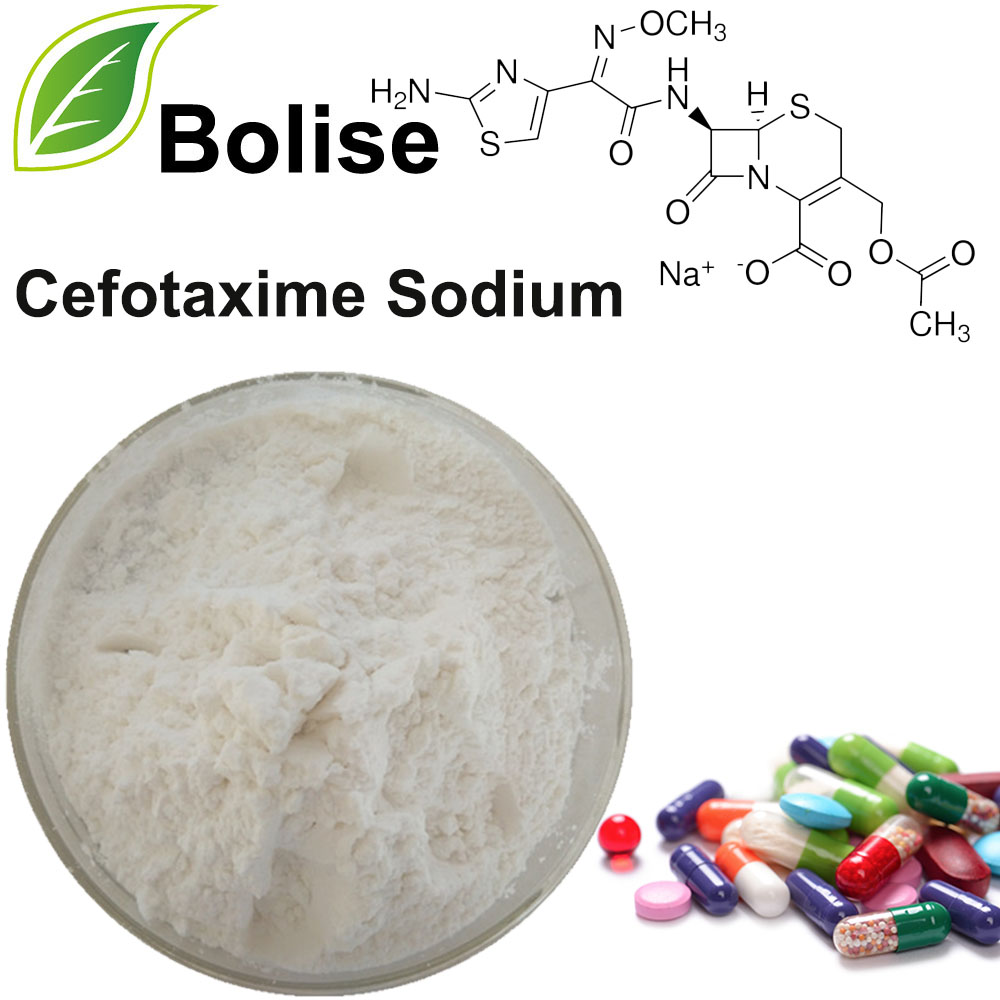 Cefotaxime Sodium