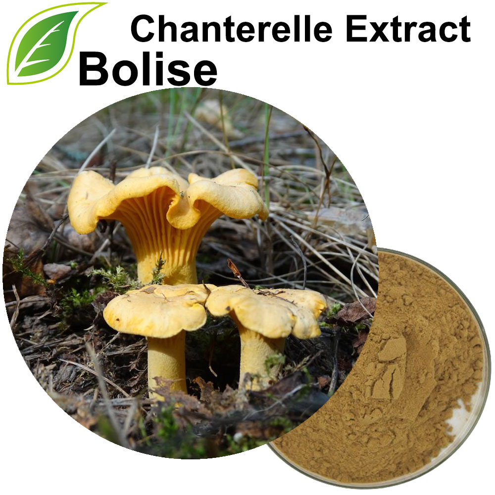 Ekstrakt lisičarke (ekstrakt Cantharellus Cibarius)