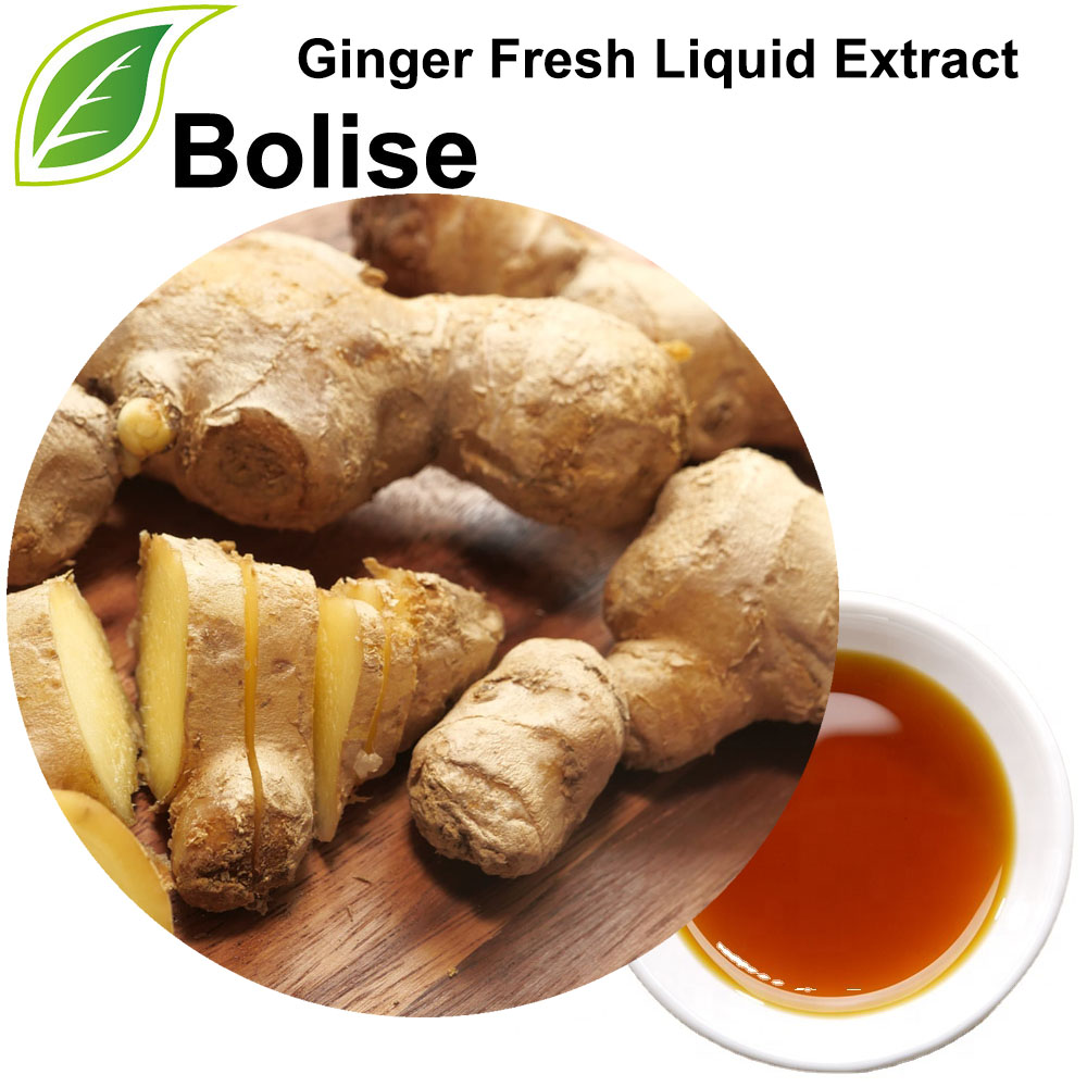 Ginger Fresh Liquid Extract Ginger Fresh Liquid Extract