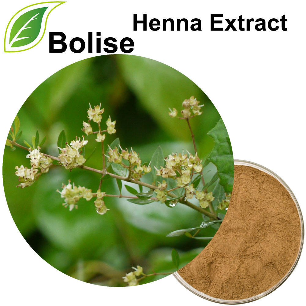Henna Extract Henna Extract