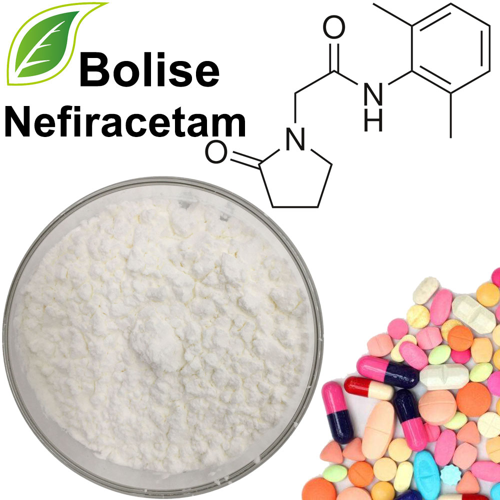 nefiracetam