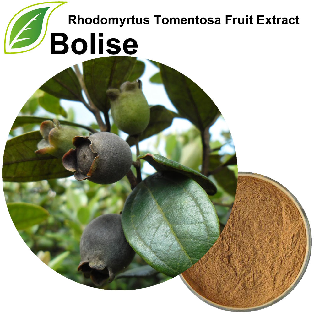 Rhodomyrtus Tomentosa -hedelmäuute