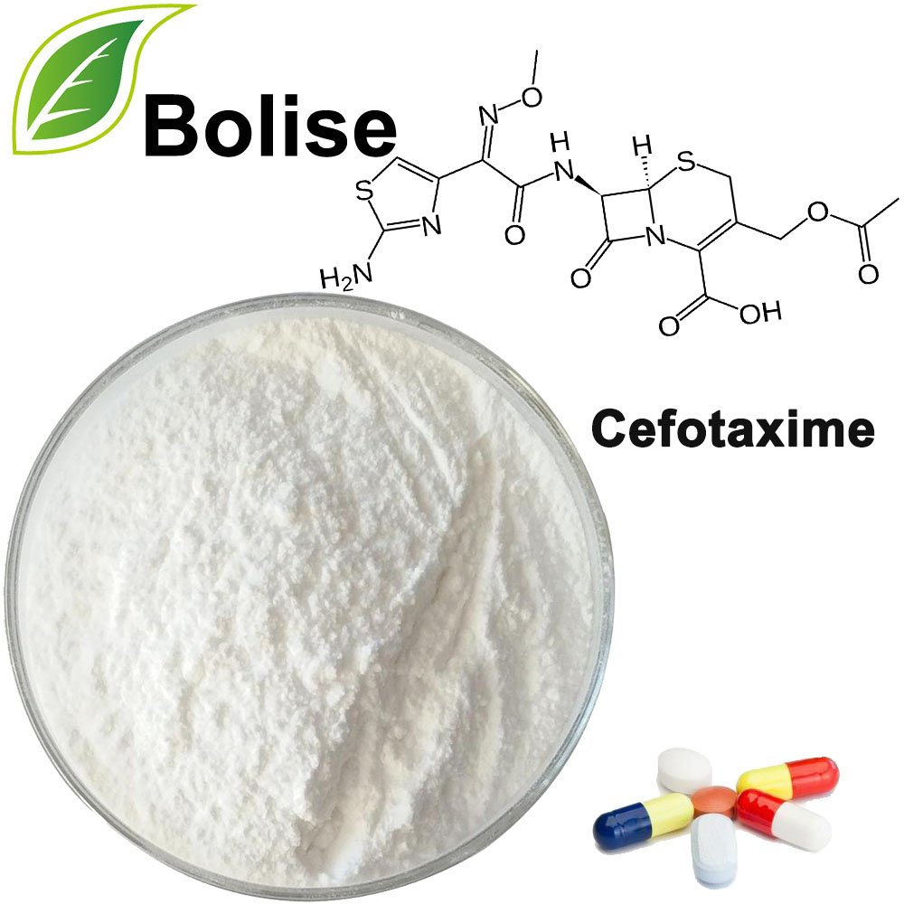 Cefotaksīms