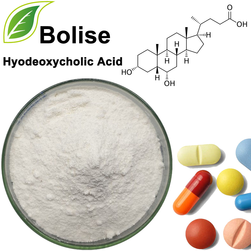 Hyodeoxycholic Turşusu