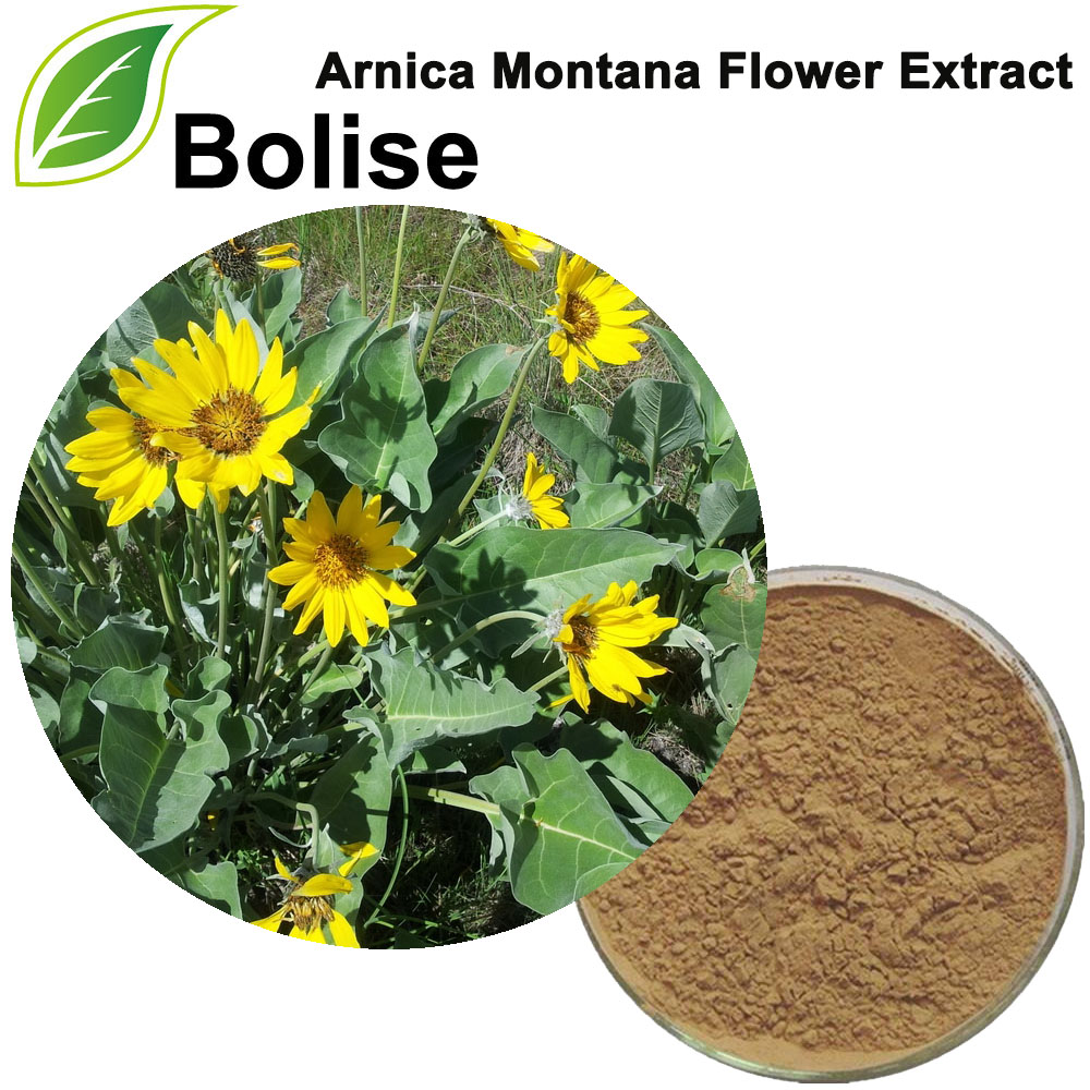 Arnica Montana Extrakt (Arnica Montana Blütenextrakt)