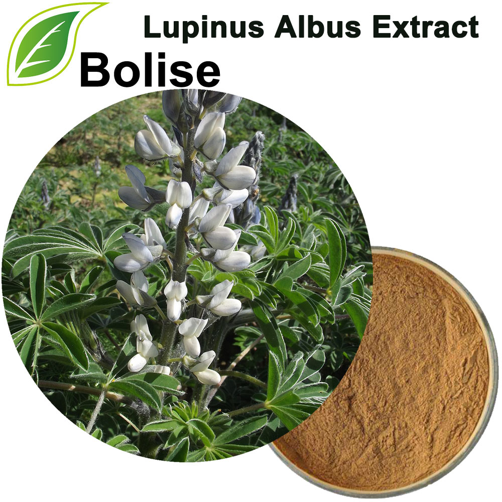 Extrakt z Lupinus Albus