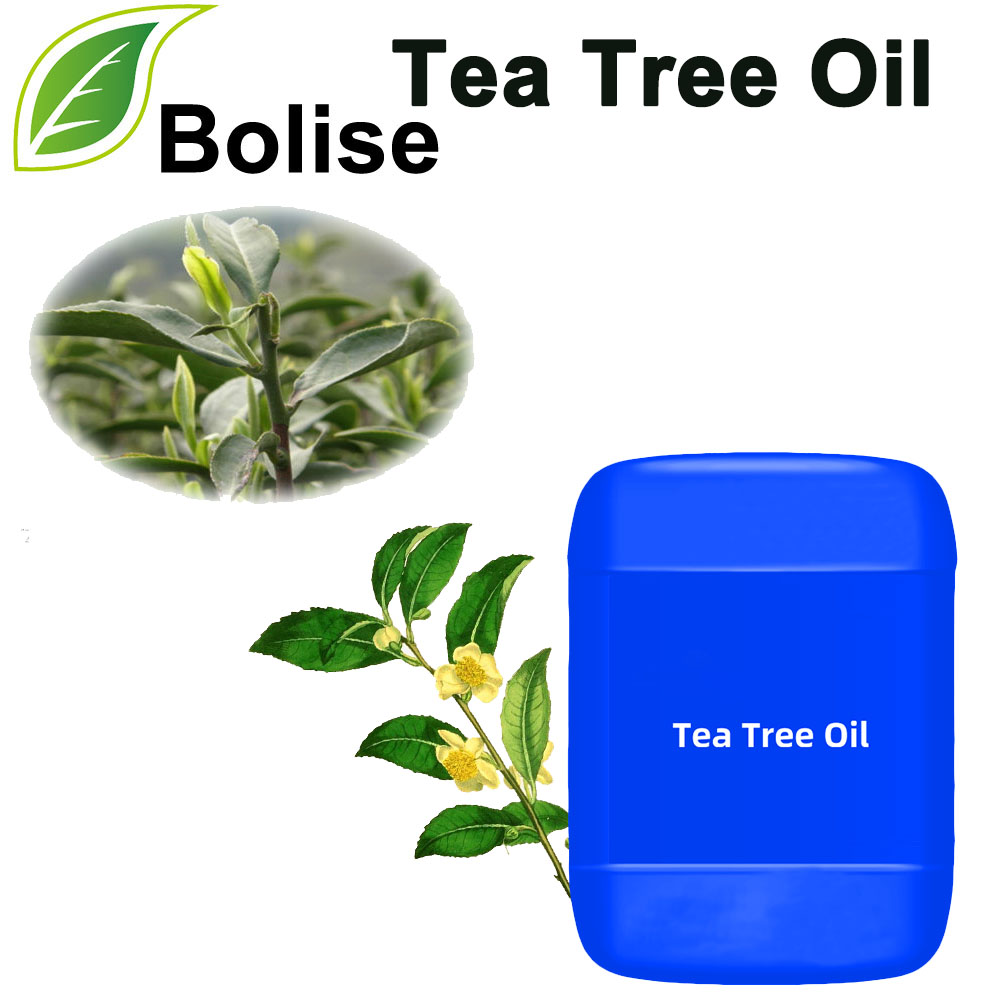 Shaaha Tree Oil