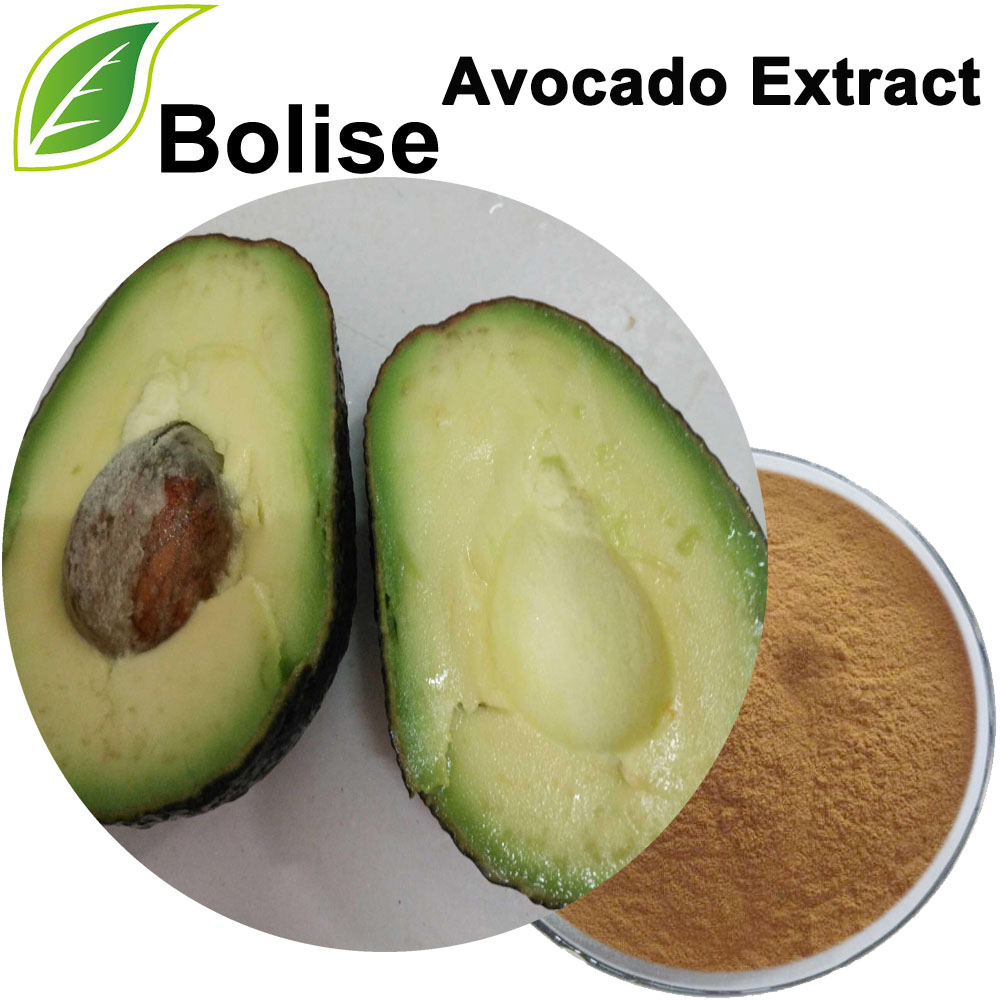 Extract de avocado