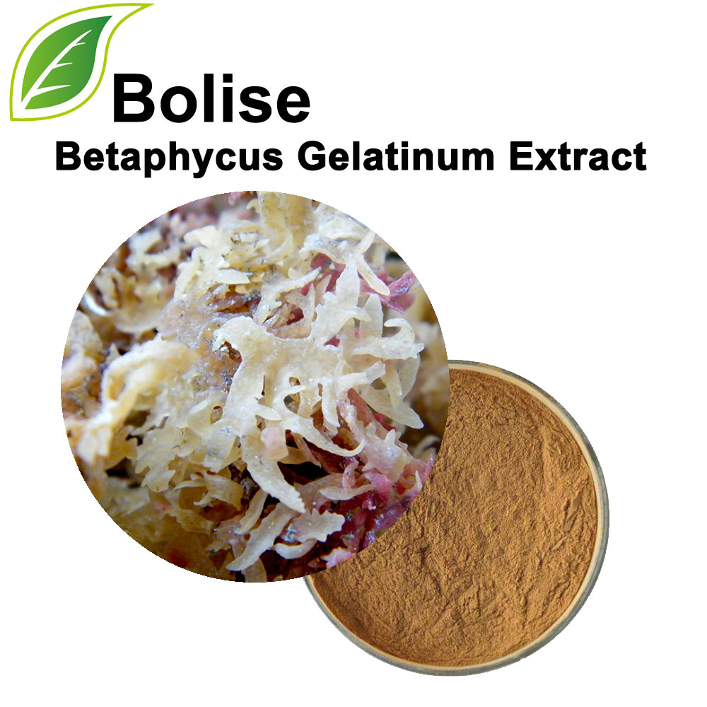 Betaphycus Gelatinextrakt