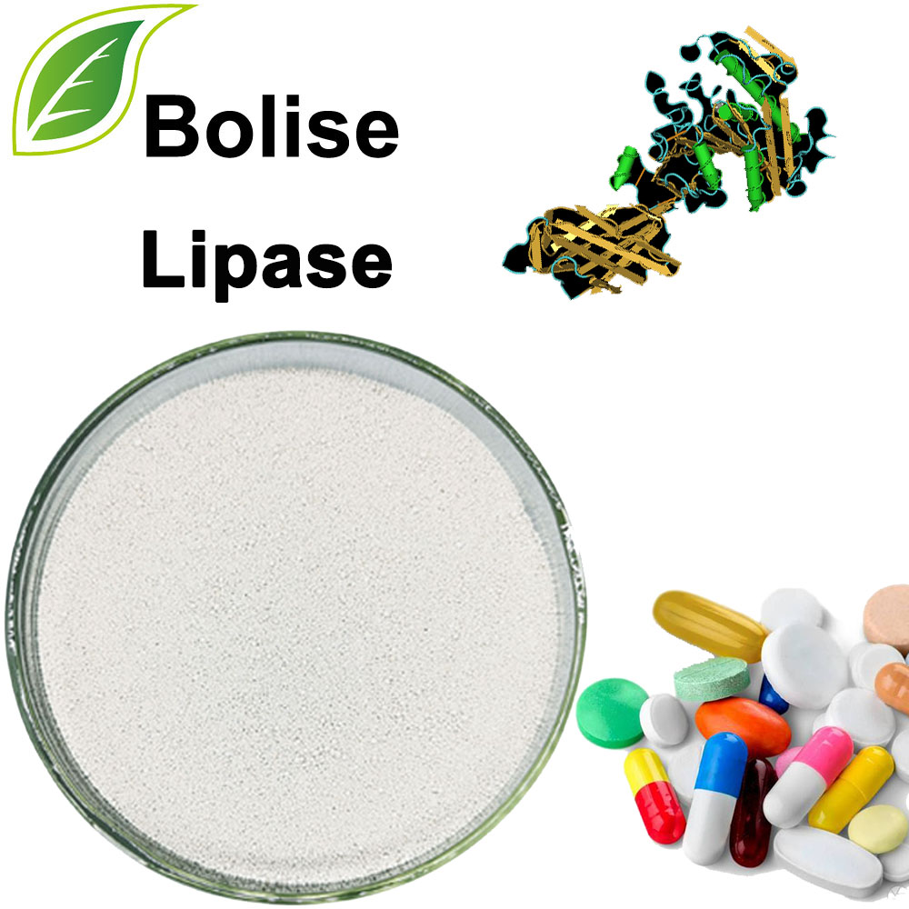 Lipase