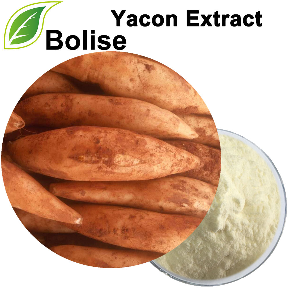 Yacon Extract
