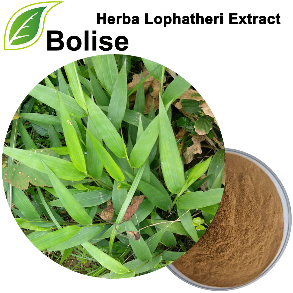 Herba Lophatheri ekstrakt