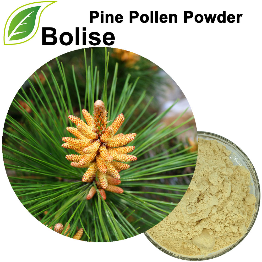 Pine Poleni Poda