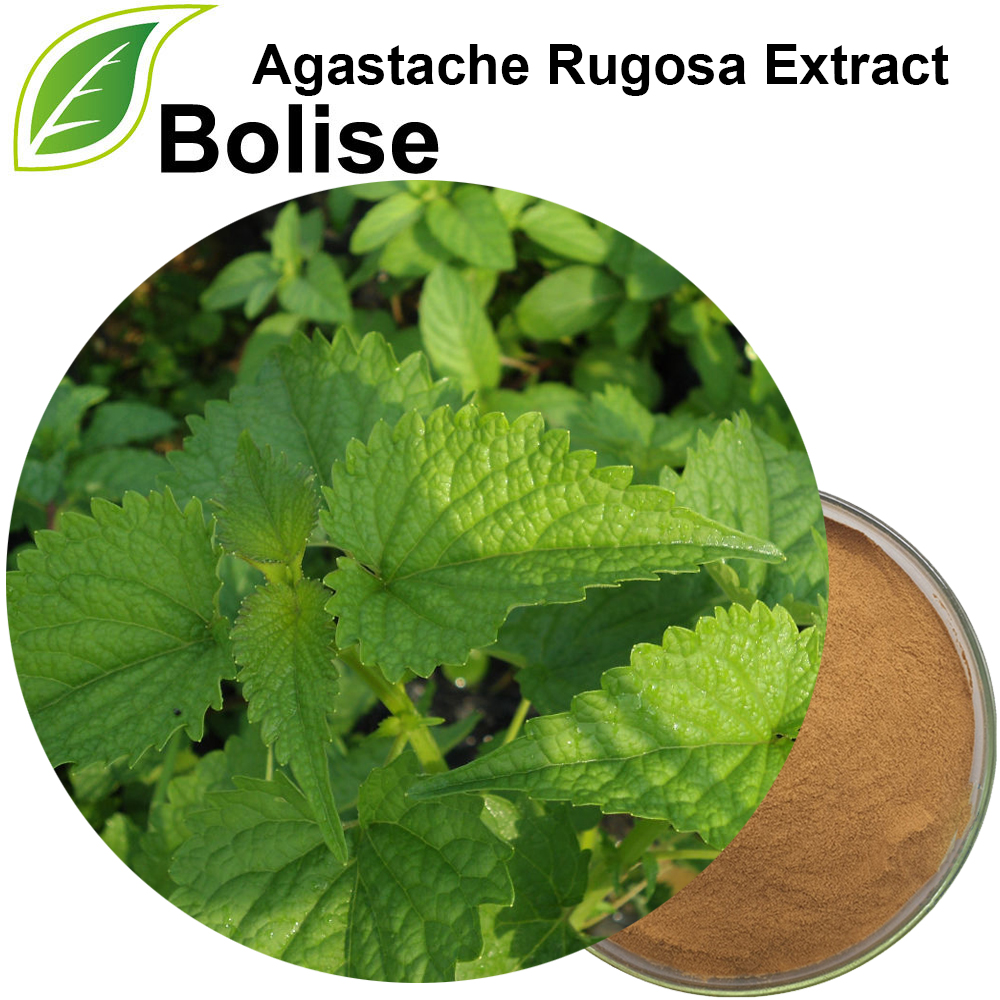 Agastache Rugosa निकाल्नुहोस्