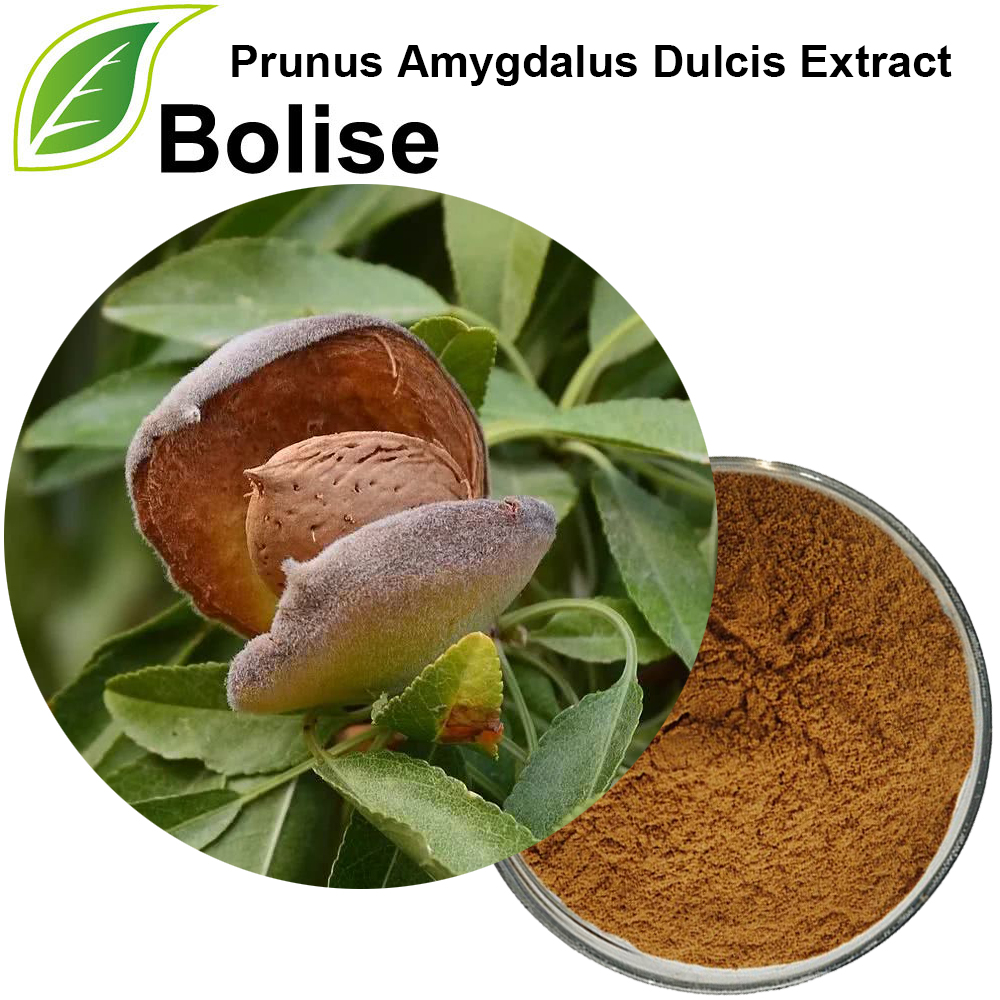 Ekstrakt av Prunus Amygdalus Dulcis (søt mandel)