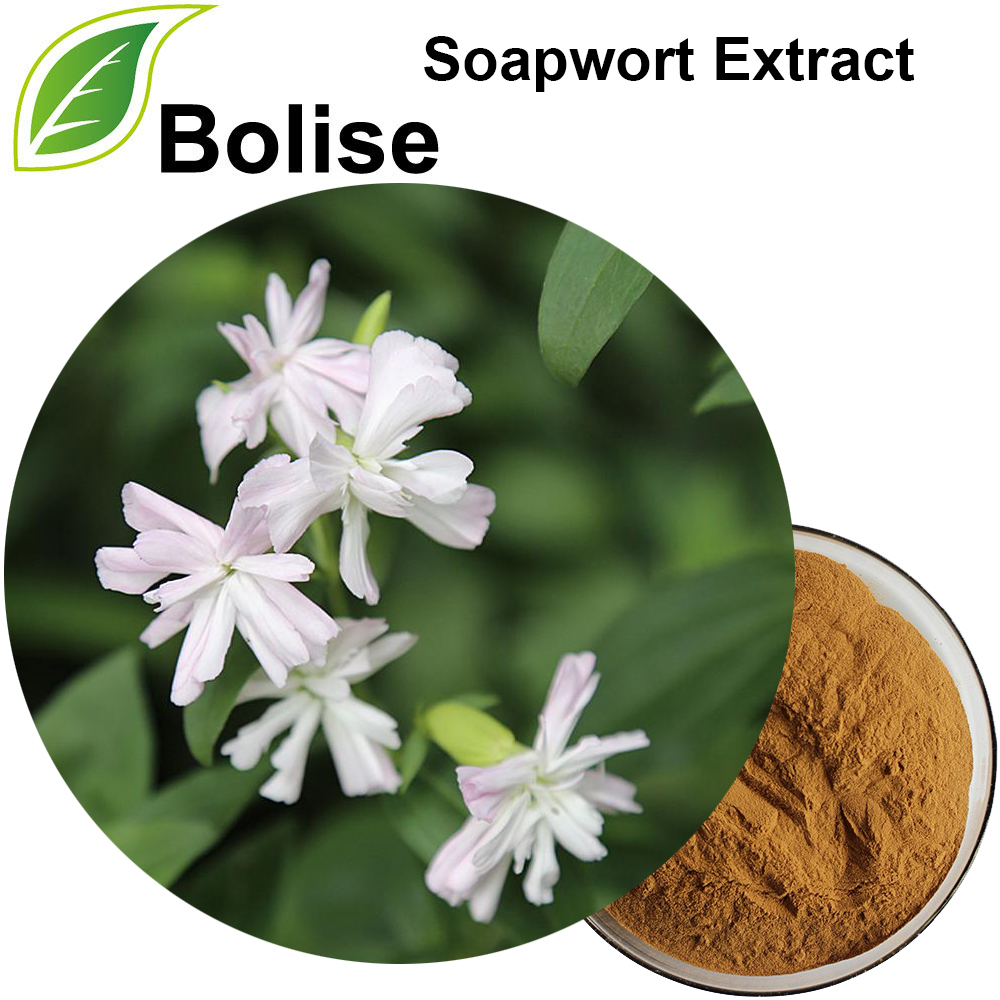 Soapwort Extract