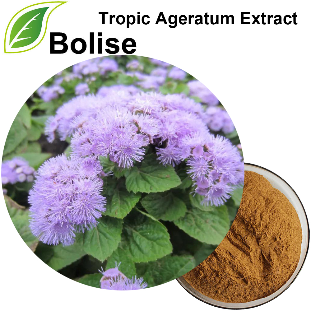 Extracto de Ageratum trópico