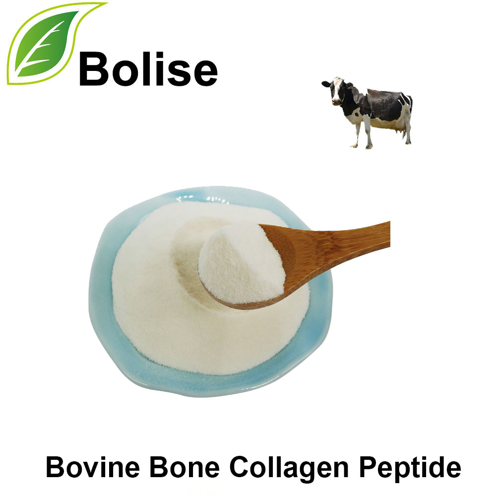 Bovine Bone Collagen Peptide