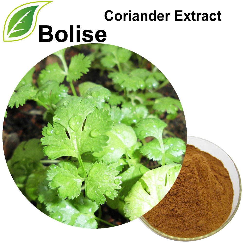 Detholiad Coriander