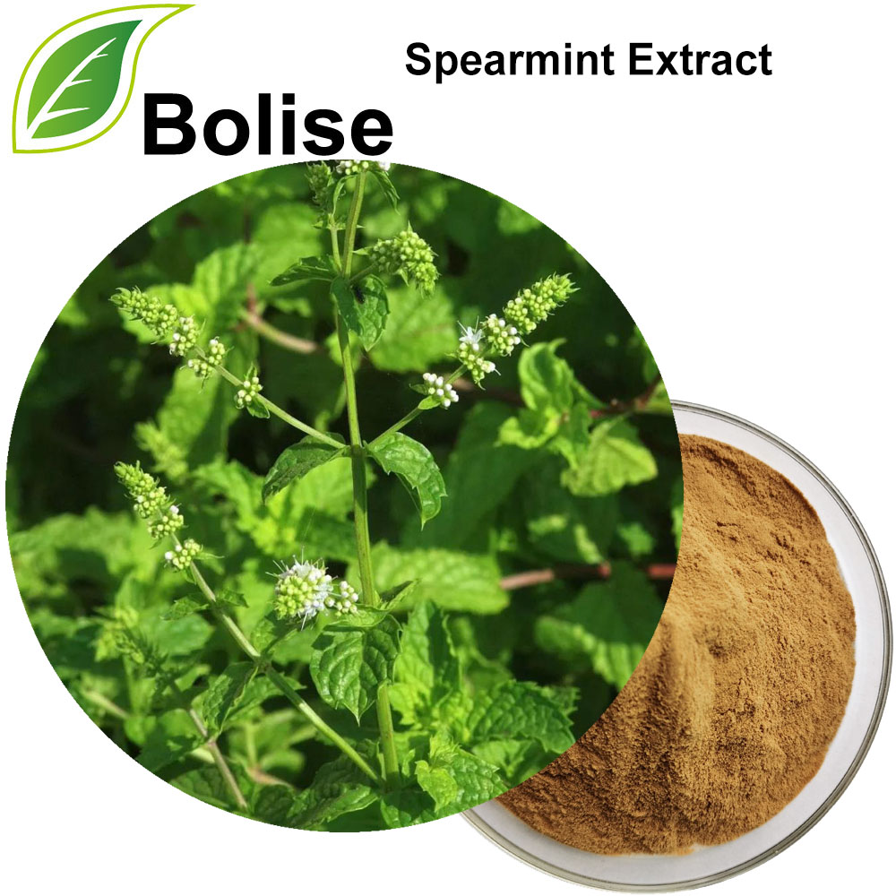 Warbixiinta Spearmint