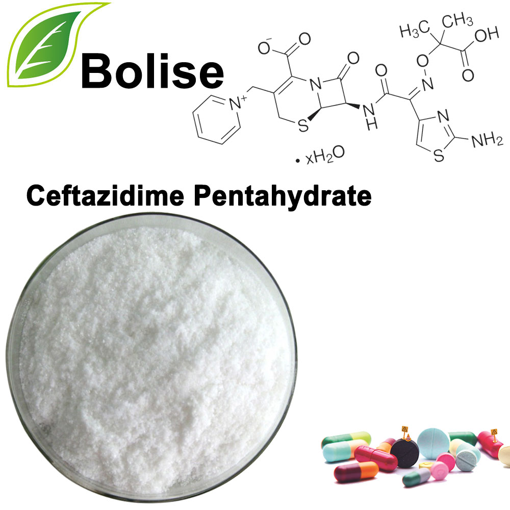 Pentahydrate Ceftazidime