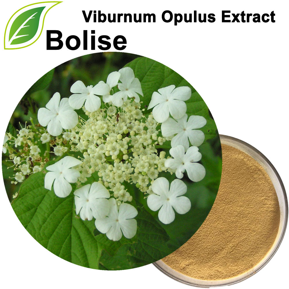 عصاره Viburnum Opulus