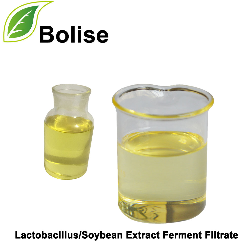 Lactobacillus/sojin ekstrakt fermentnega filtra