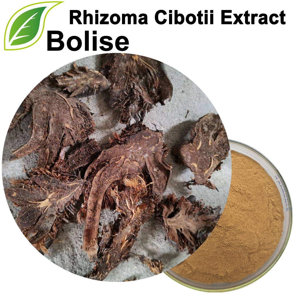 Rhizoma Cibotii extrakt