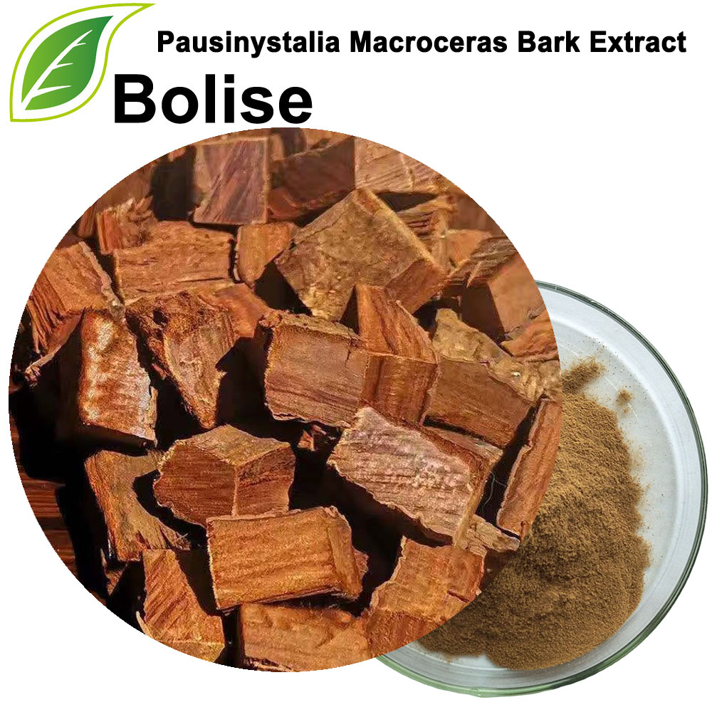 Extract de scoarță de Pausinystalia Macroceras