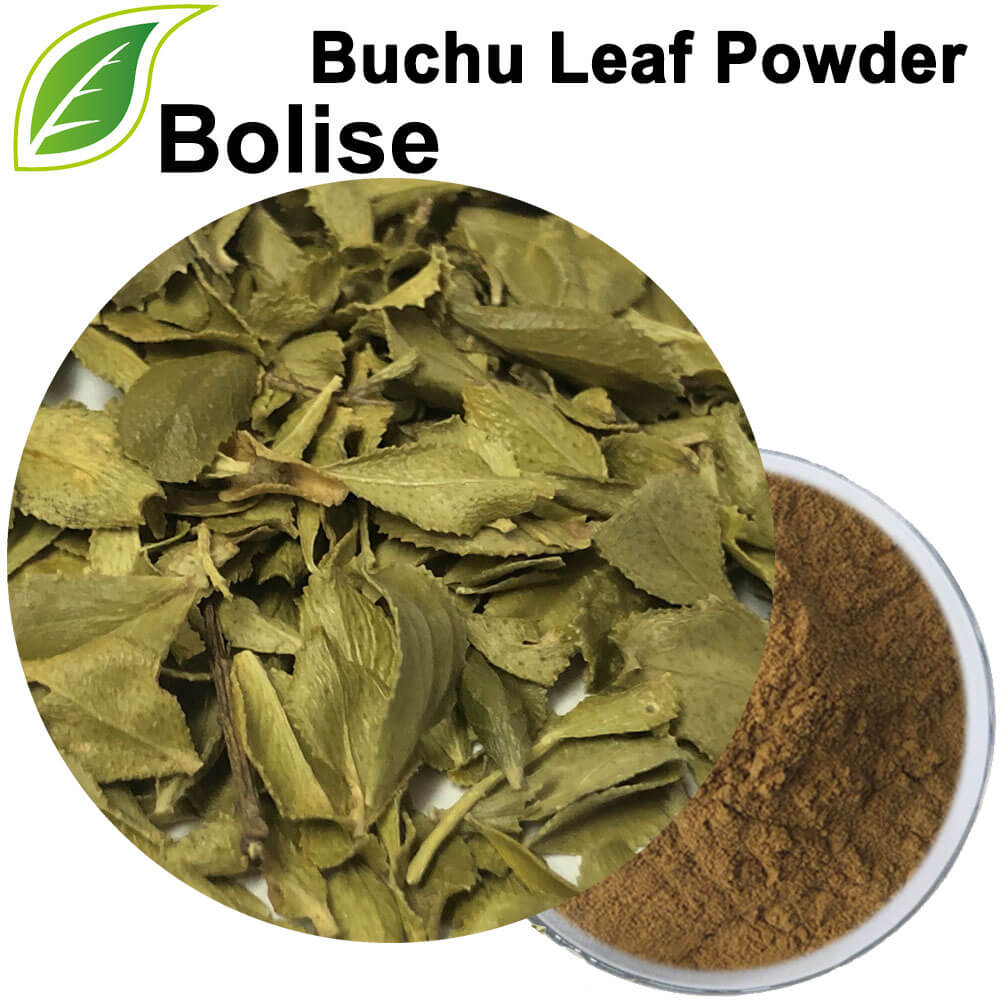 Buchu Leaf Powder