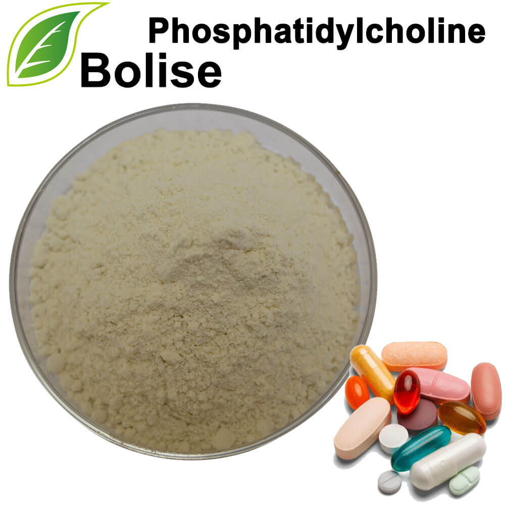 Fosfatidilkolin