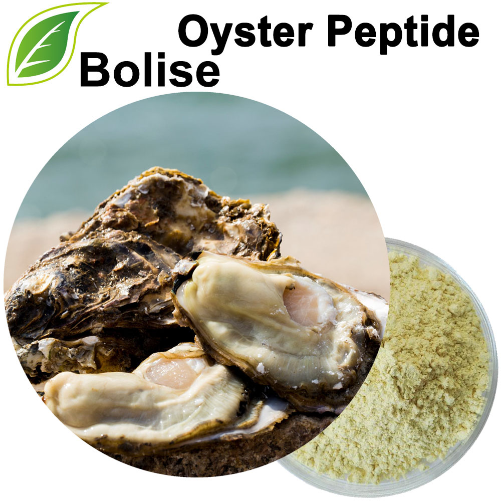 Polvere di peptidi di ostriche