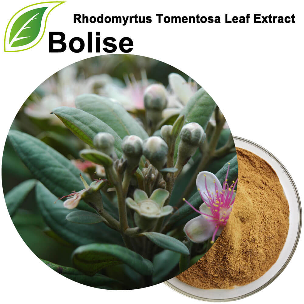 Rhodomyrtus Tomentosa lapu ekstrakts