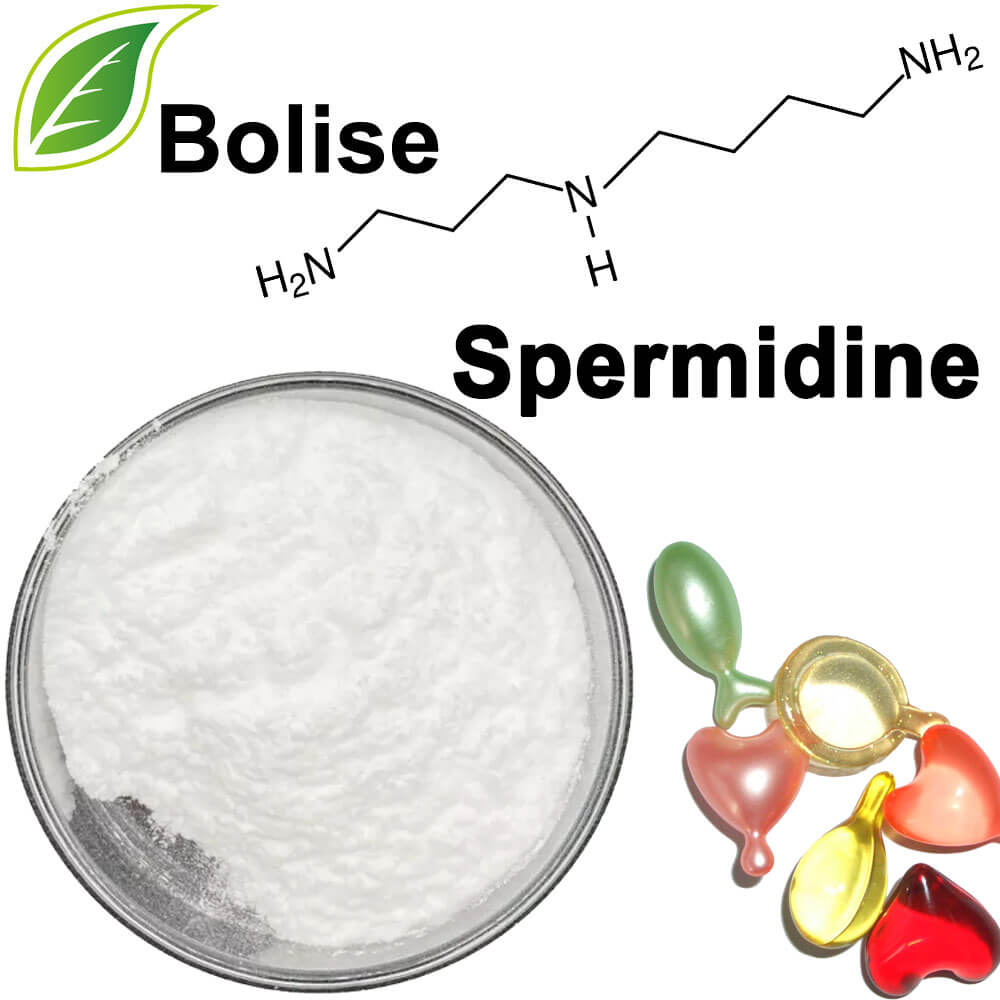 Spermidine