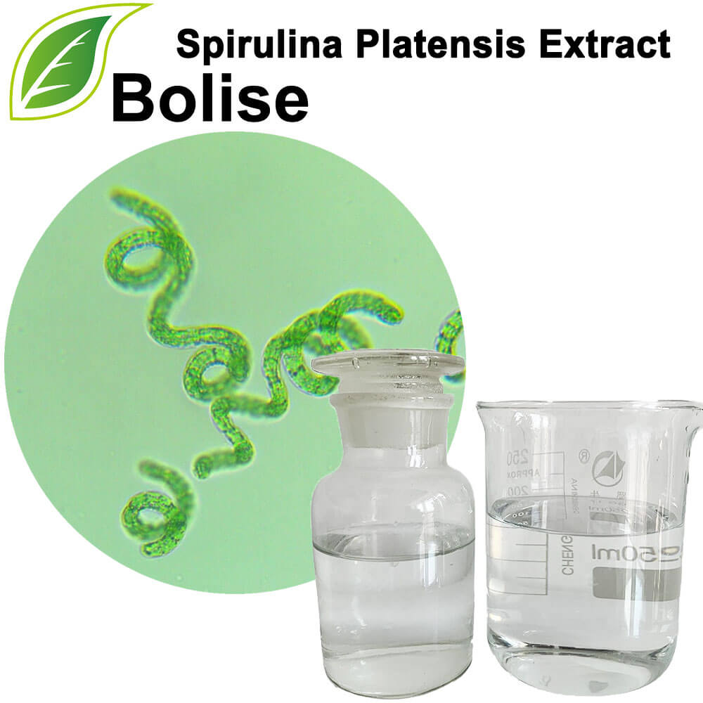 Spirulina Platensis Ekstresi