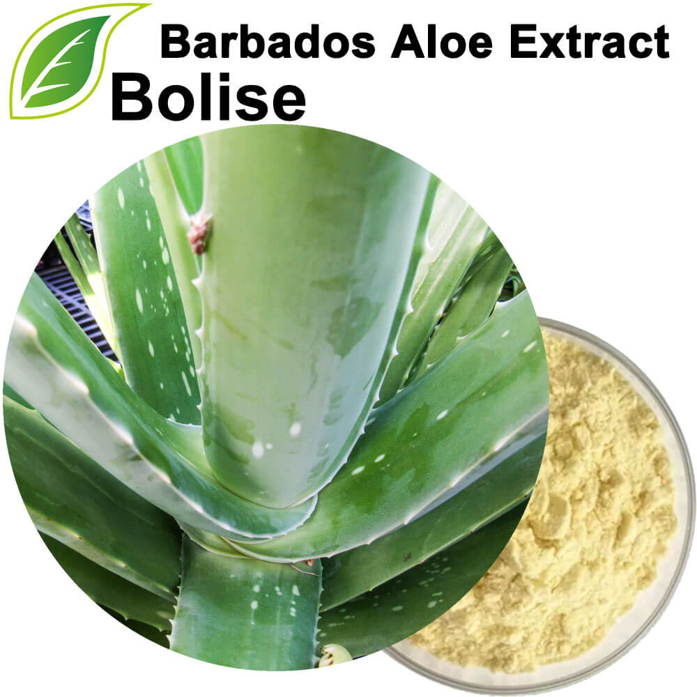 Extracto de aloe de Barbados