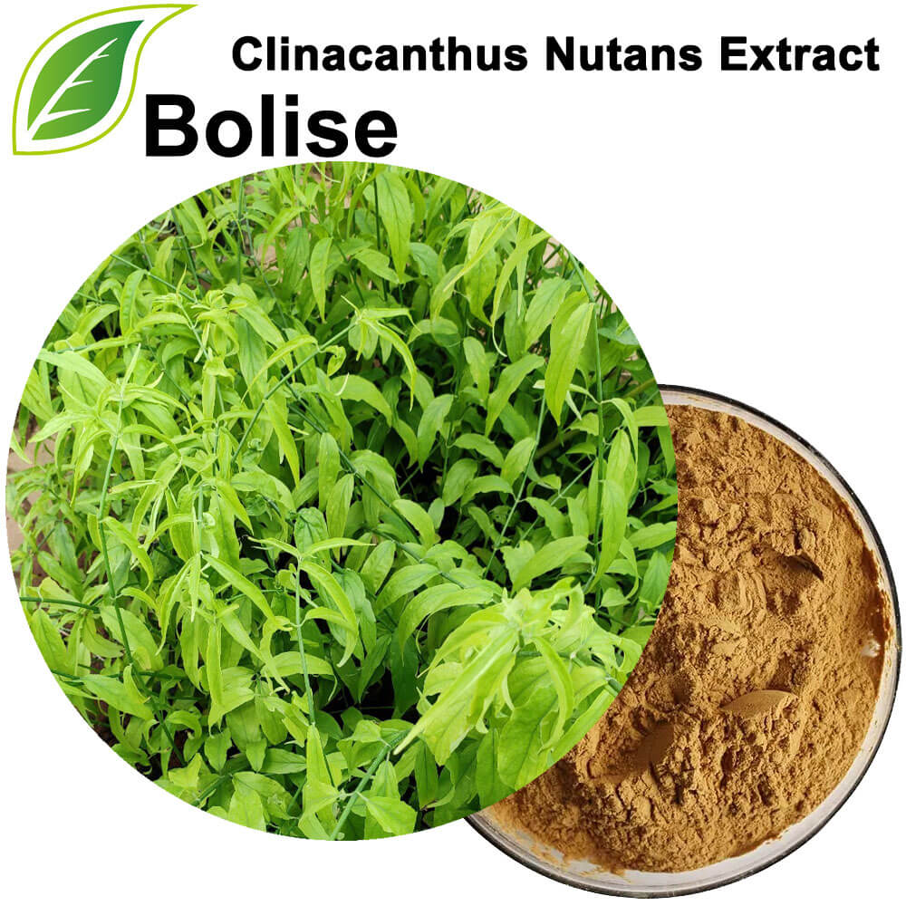 Clinacanthus Nutans Extract