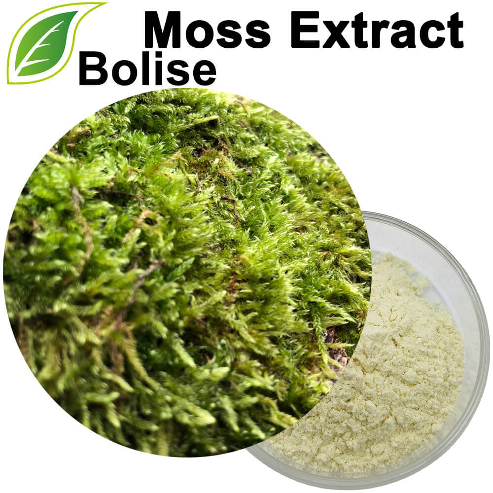 Moss Extract