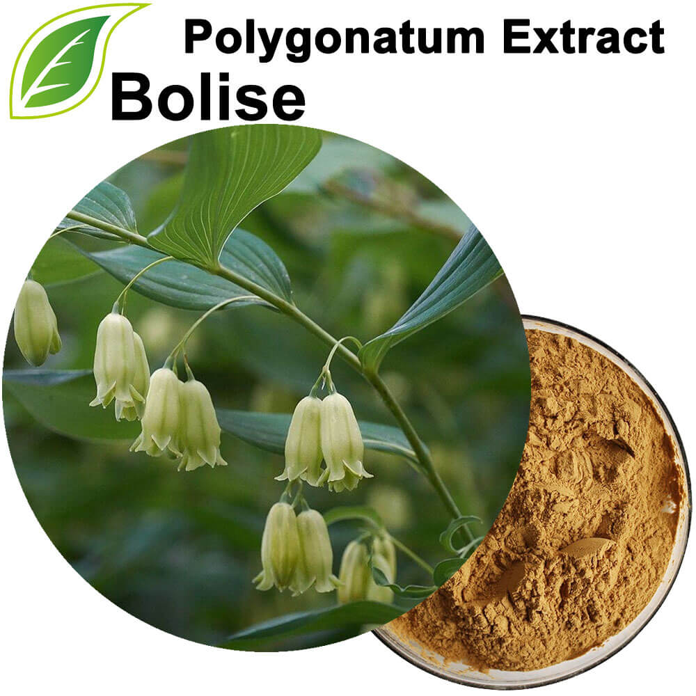 Polygonatum քաղվածք