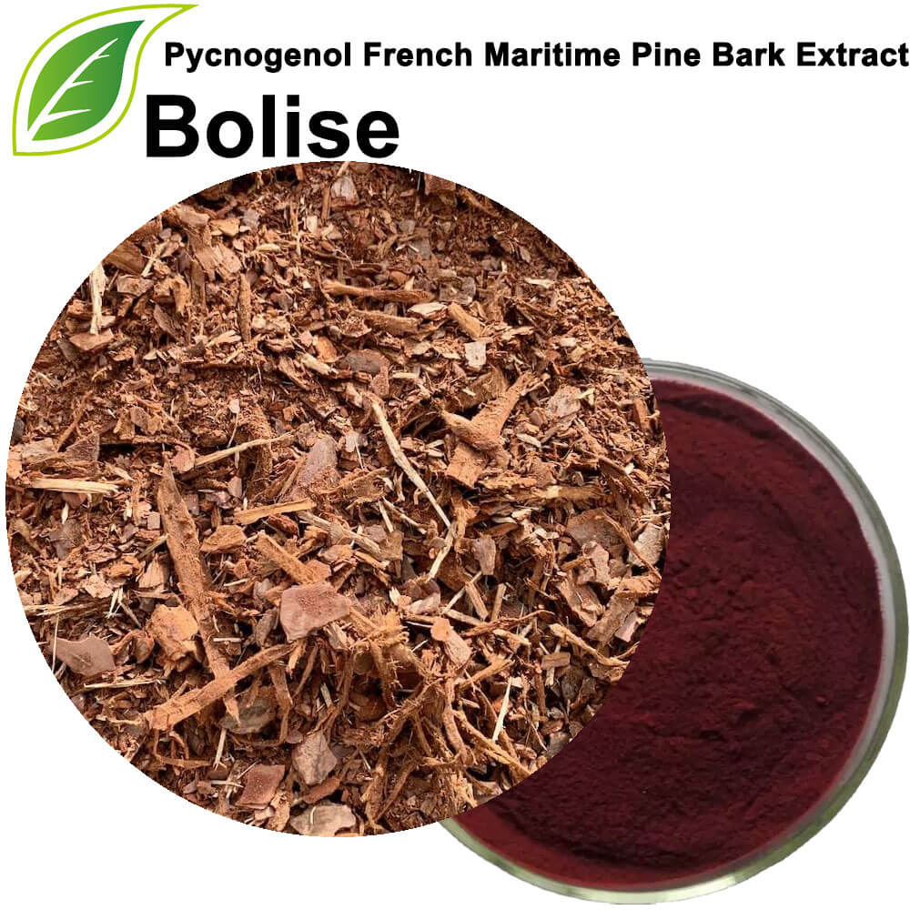 Pycnogenol French Maritime Pine Bark Extract