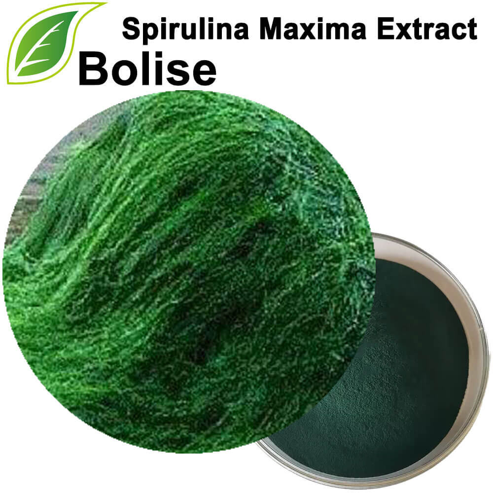 Extrait de Spiruline Maxima