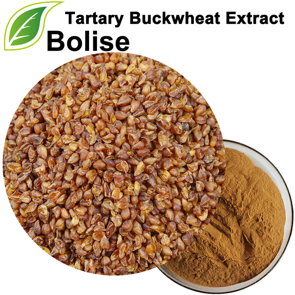 High-flavone ekstrè Buckwheat tat