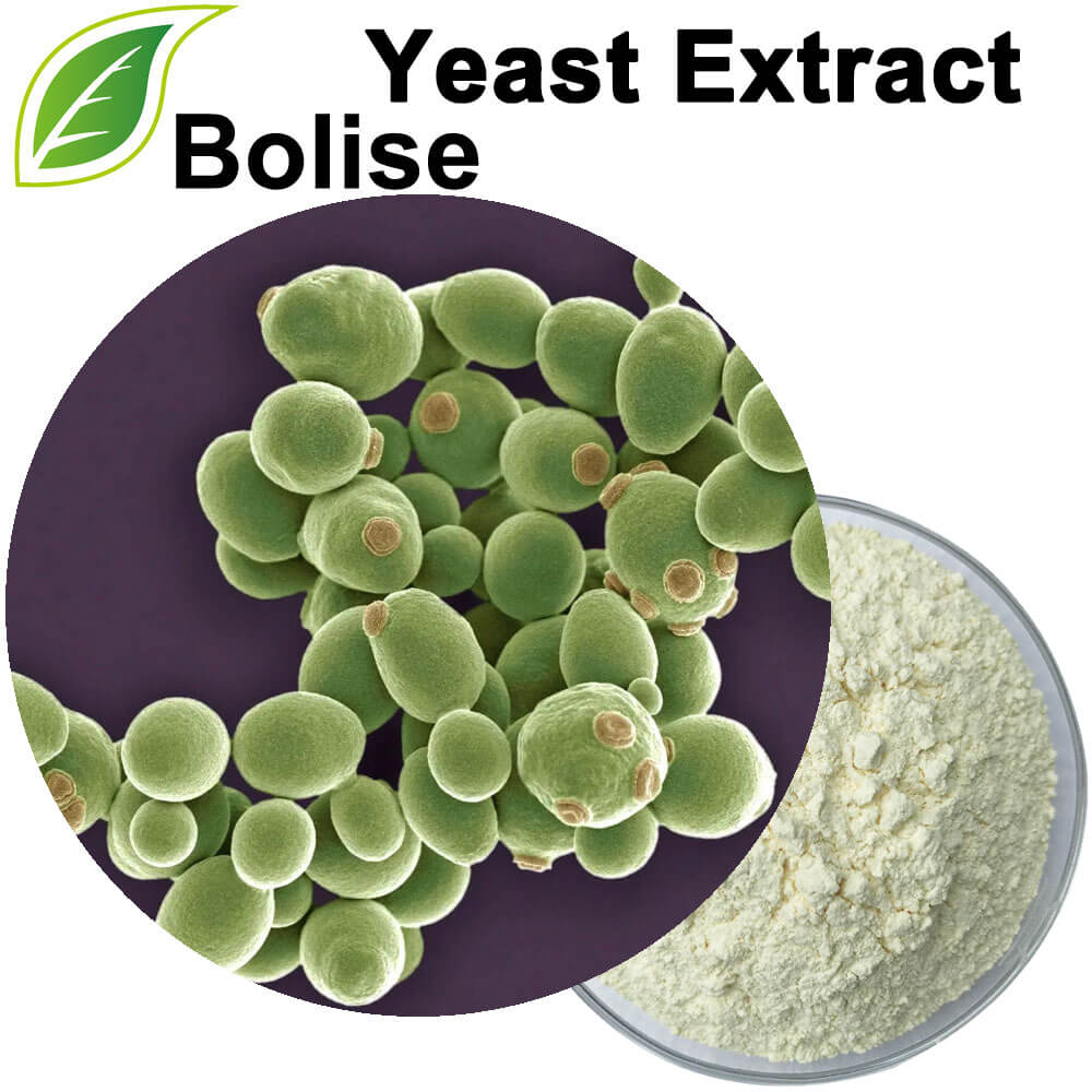 Yeast Extract