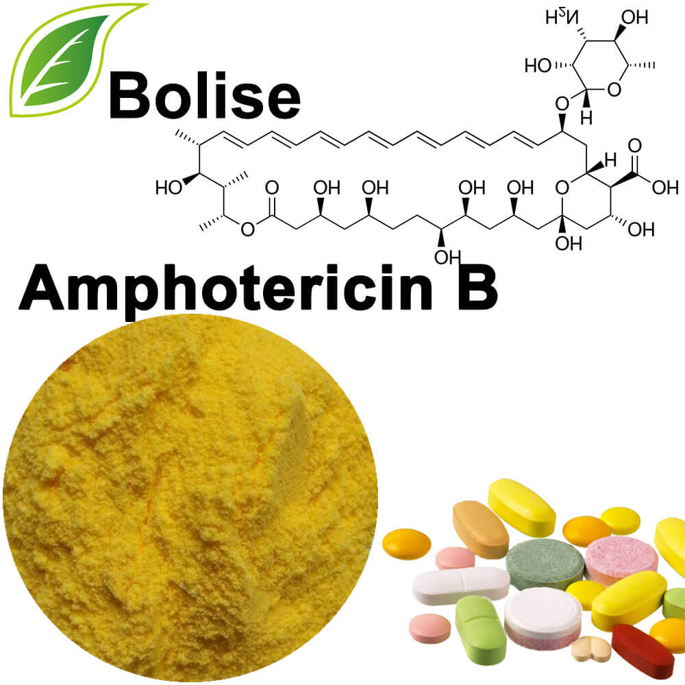 Amphotericin B.