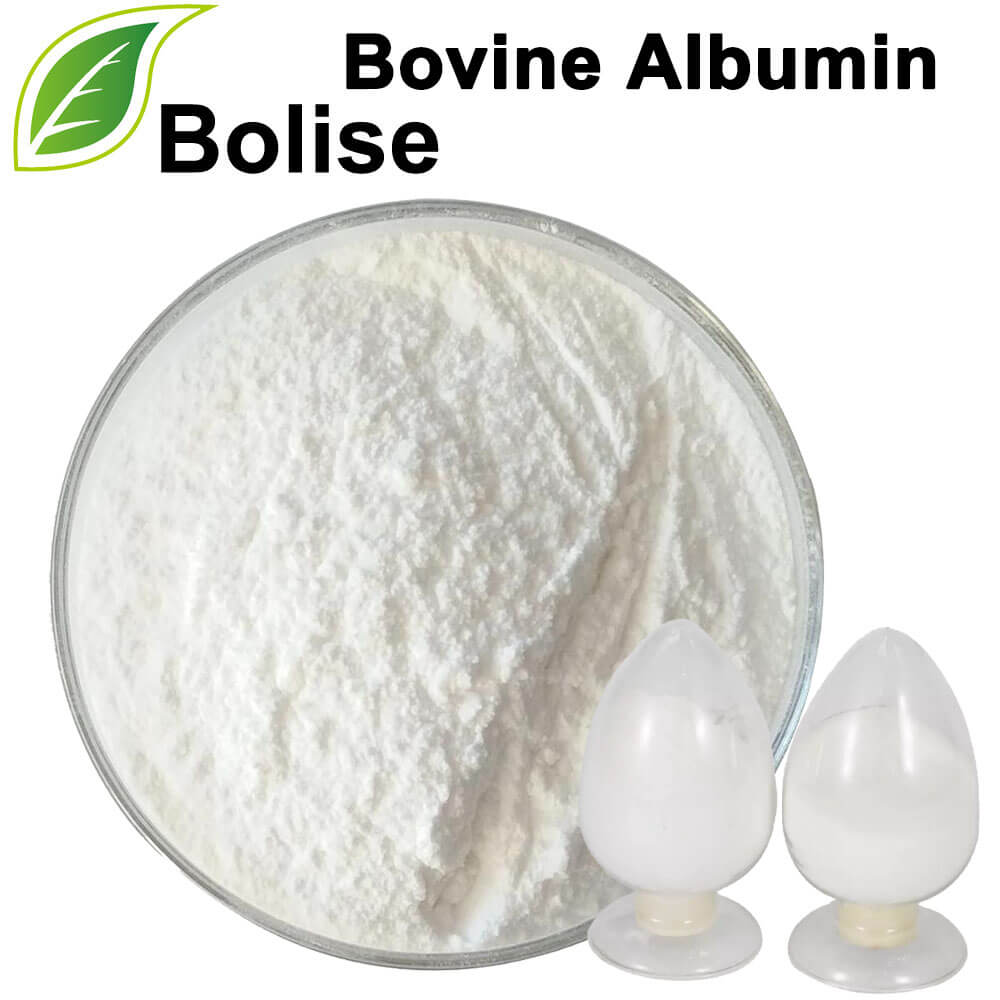 Bovint albumin