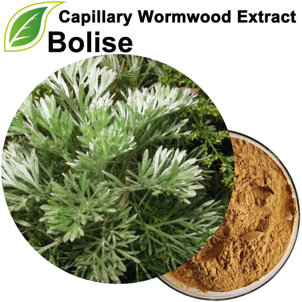 Dondoo ya Capillary Wormwood