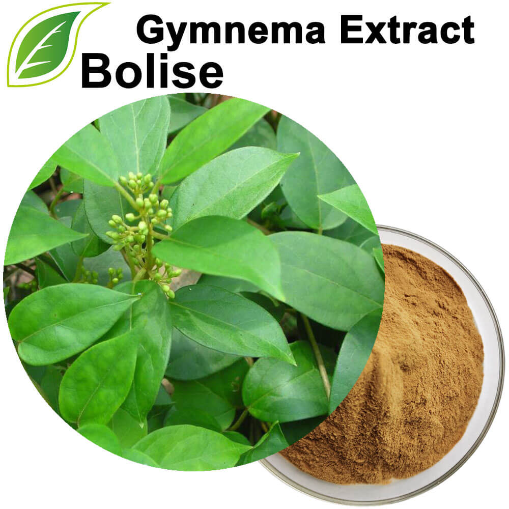 Gymnema-extract