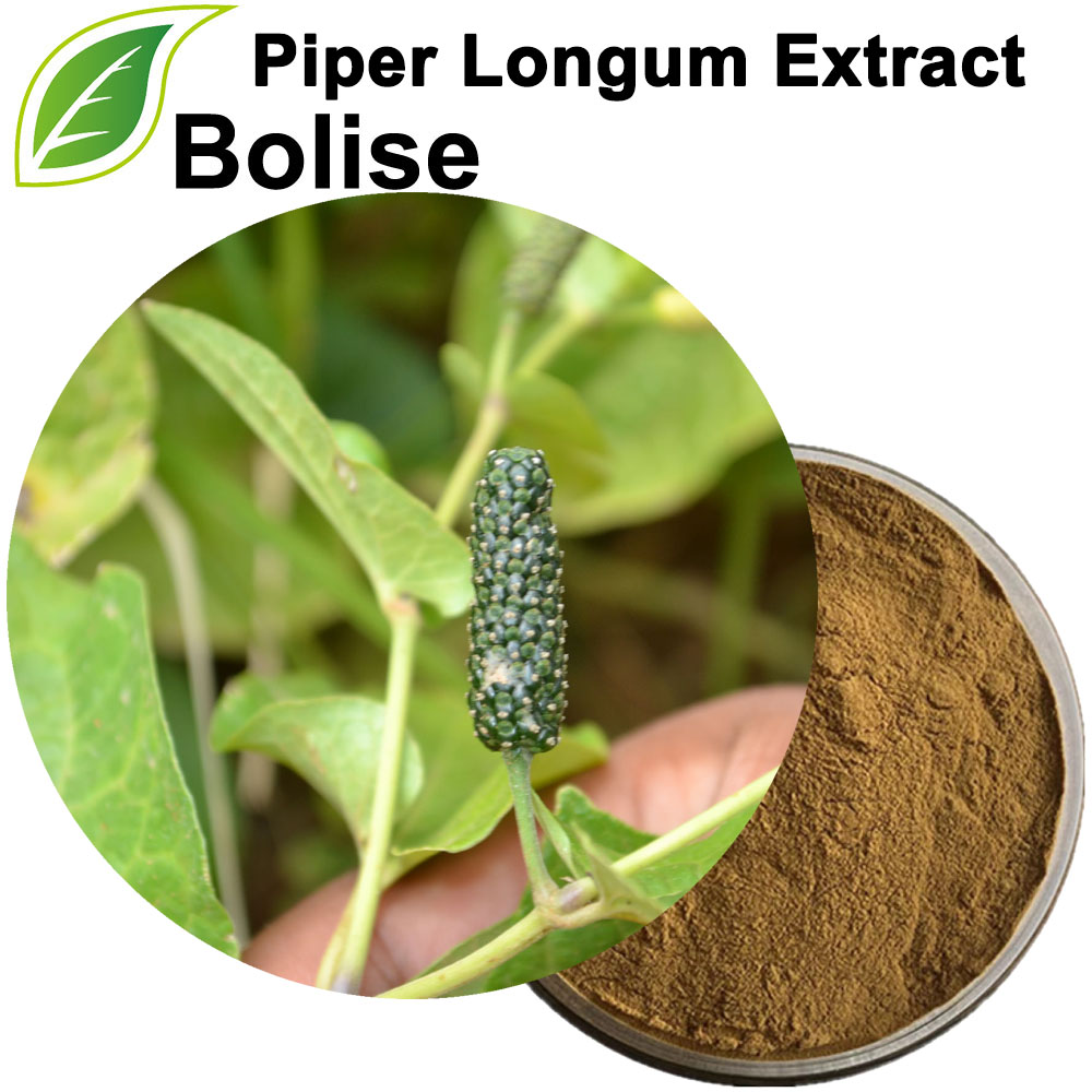 Piper Longum Extract